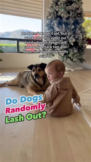 103K views · 675 reactions | Many parents mistakenly believe their...