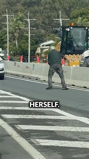 Old Man Scolds Koala For Crossing A Busy Road 😆 | Animal - Rescue Center