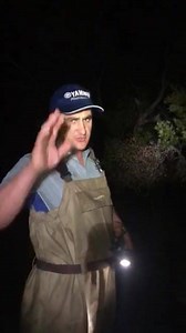 57K views · 378 reactions | Here is a post for the people that think mid crabs don’t breed in nsw. I waited for these 2 crabs to finish there thing than decided to do a video showing them both together when they buried. I picked them up than released them both to give them a chance to do there thing for the future. Rapala Jetty Boating Yamaha Outboards Australia Lowrance OM Flasher Rigs and Tackle | Didio’s country 2 coast fishing | Facebook