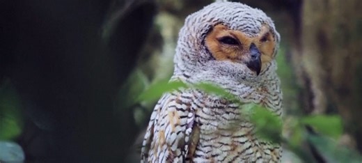 A look at some of 2025’s new additions to UNESCO World Heritage List