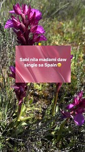 63 reactions · 40 comments | Totoo kaya? #single #spain #jowa #Cenomar #buhayofw #BuhaySingle #ofw | Taga Madrid | Facebook