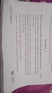 (iii) Marks allotted to each question are given against them.... | Filo