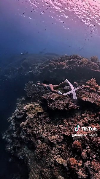 Freediving Adventures at Balicasag Island