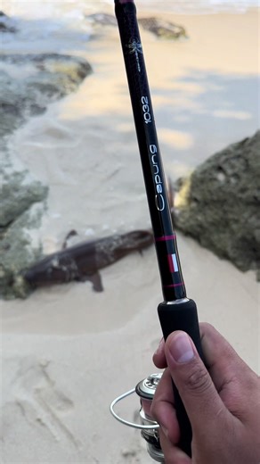 Hasil Akhir Rock Fishing di Nusa Lembongan