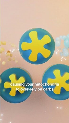 Meet the Mediator: Cortisol | How to lower cortisol and boost metabolic flexibility