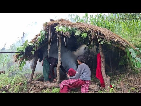 Best Life in A Himalayan Shepherd | During The Rainy Day | Most Relaxing |Shepherd Documentary Video