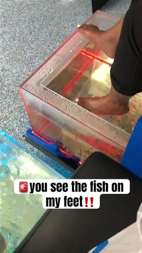 Vegas fish spa nibbling my feet felt like a static tickle—so weird but fun! #Vegas #FishSpa #Travel