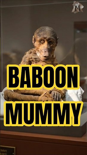 Mysteries of Egypt’s Sacred Baboons, Tracing the Animals of the Lost Land of Punt