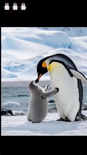 "Unbelievable! Everything Turned to Ice ❄️😱 | Real Footage” #ice #iceworld #cold #youtubeshorts