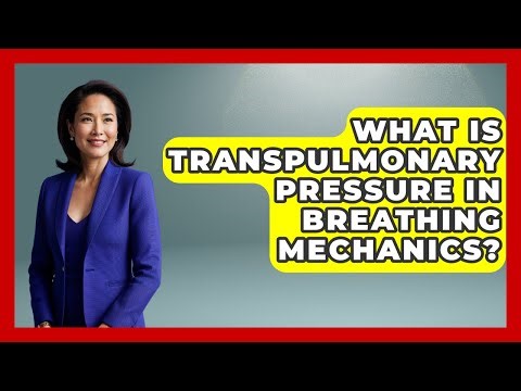 What Is Transpulmonary Pressure In Breathing Mechanics? - All About Anatomy Answers