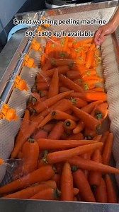 Carrot washing and peeling machine potato washing and peeling machine ginger washing and peeling machine | Guangzhou Shengtian Machinery Co., Ltd.