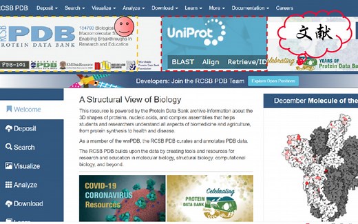 PDB数据库（&Uniprot数据库）如何选择对接蛋白