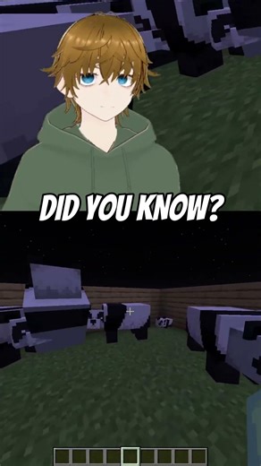 Did you know that about the Minecraft pandas #minecraft #minecraftfacts #vtuber