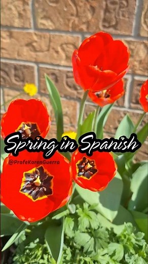 54.🌷Spring in Spanish