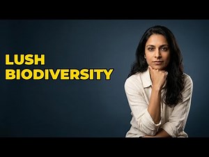 How Does the Equatorial Climate Influence Rainforests?