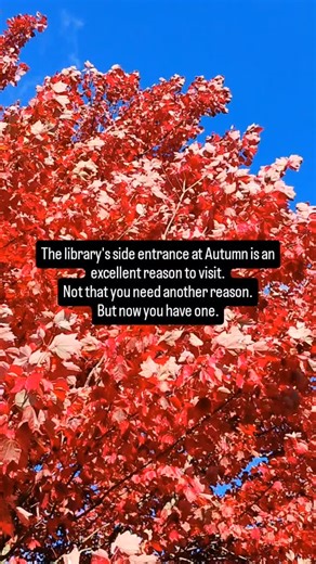 Open Saturdays 11 am- 2 pm 🍁 | Waterville Public Library