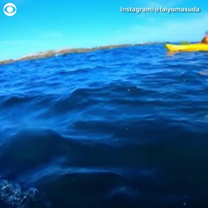 15K views · 306 reactions | A kayaker in New Zealand was shocked when a seal whipped an octopus at his face https://cbsn.ws/2OiRmhe | CBS Sunday Morning | Facebook