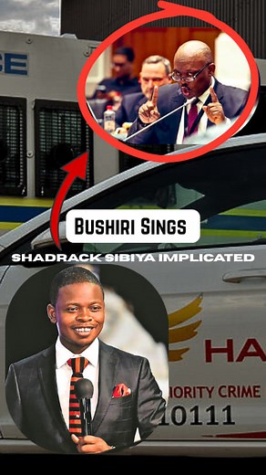 ⚠️ Bushiri Accuses Hawks of demanding R12 million to make his case disappear & Implicates Shadrack Sibiya👮‍♂️ #Bushiri #ShadrackSibiya #MadlangaCommission #AdHocCommittee #Hawks | African News & Current Affairs