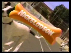 Nickelodeon Dog Bone Parking Lot bumper