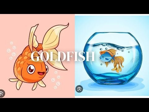 Let's draw a goldfish easy drawing for beginners