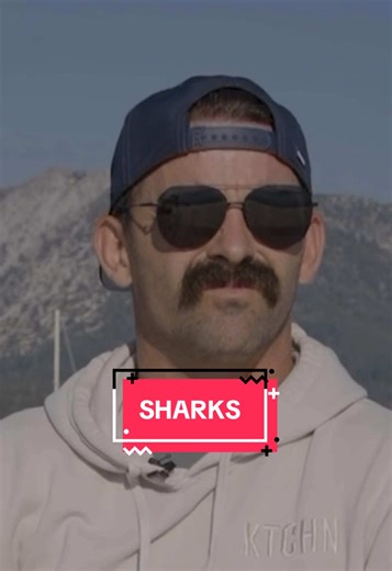 Swimming with Sharks: Hilarious Shark Dad Jokes