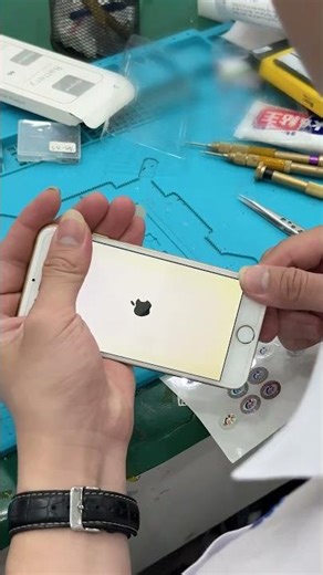 Replacing iPhone battery costs only 24 branches