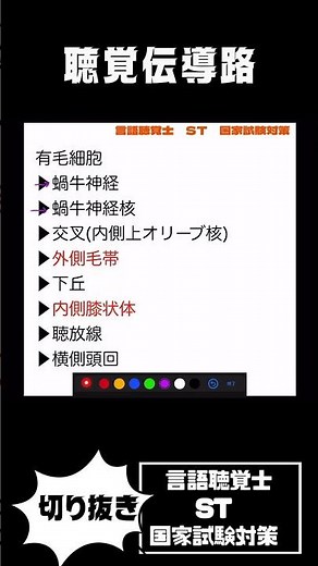 聴覚伝導路 内有毛細胞 外有毛細胞
