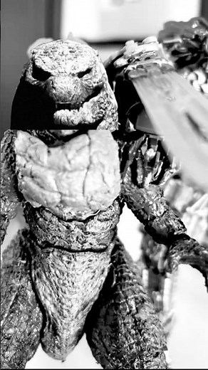 Godzilla's reaction to Mechagodzilla