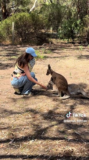 Exploring Australian Summer: Tips and Insights