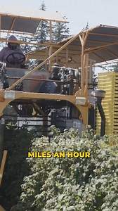 3.2K views · 35 reactions | The Raspberry Farm Walkthrough... | TekamoHD Heavy Equipment Services | Facebook