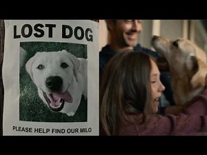 Ring Super Bowl Commercial 2026 Dog Search Party Big Game Ad Review