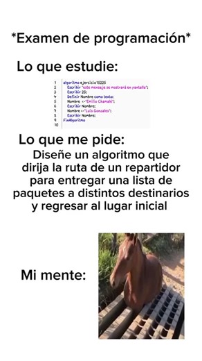 Maestro de Programación on Instagram: "💻Dale follow a👉@maestro.de.programacion 👈🔥para aprender programación desde cero a experto🎓 👉@maestro.de.programacion 👈 👉@maestro.de.programacion 👈 👉@maestro.de.programacion 👈 Creditos(tiktok)=Tecnologia Vital #educacion #programacion #aprende #curso #tecnologia #codigos"