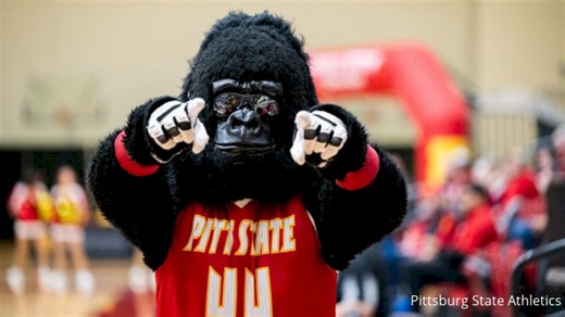 Unique college mascots in Division II and III you need to know