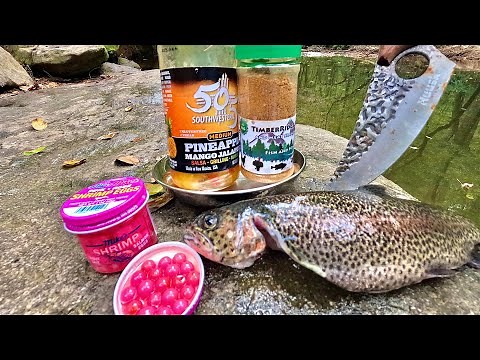 2 Days Hiking Fishing Camping in the Mountains!