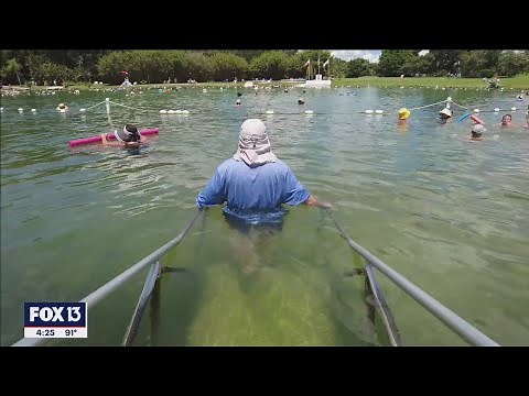 Take a dip back in time and experience the healing waters of Florida’s warm mineral springs