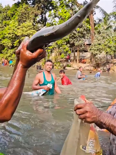 Unique Fishing Techniques Using Polo Bamboo Tools