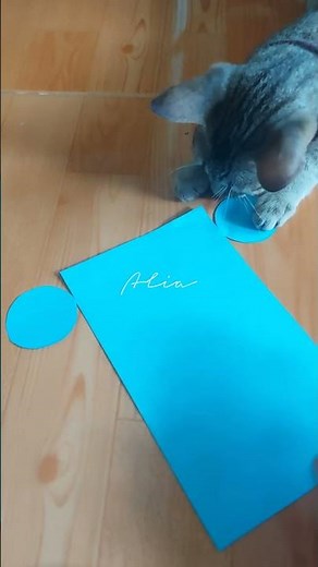 How to Make 3D Paper Cylinder