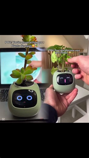 Get Your Smart Plant in Bio #plants #plant #plantlover #smartplant