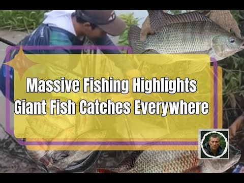 Massive Fishing Highlights – Giant Fish Catches Everywhere 🎣