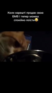 3.2K views · 456 reactions | West Auto Shipping on Reels | Facebook