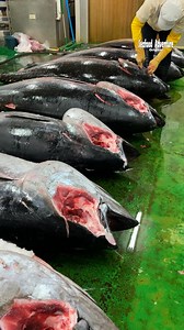 154K views · 2.1K reactions | Insane So Many Giant Tuna Eyes Being Cut Off 勞 #TunaProcessing #SeafoodLovers #FishingIndustry | Seafood Adventure | Facebook