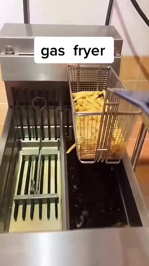 Gas Fryer: Commercial Deep Fryer for Perfect French Fries and More