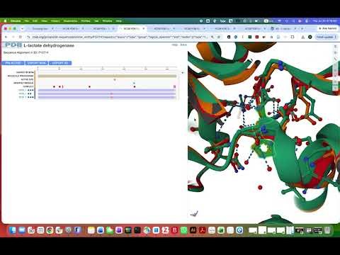 Grouping structures in the PDB