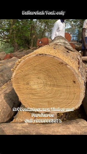 Best quality Ballarshah Teak Wood in Tenali, Andhra Pradesh #shorts #wood #teak #viral #ytshorts