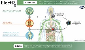 Optogenetics: A Virtual Reality System for Controlling Living Cells