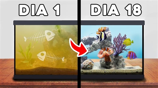 Simulé un océano durante 30 días. | TerraGreen