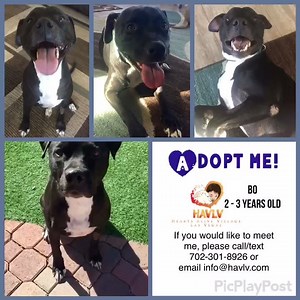 1.8K views · 119 reactions | A big welcome to our newest Village...