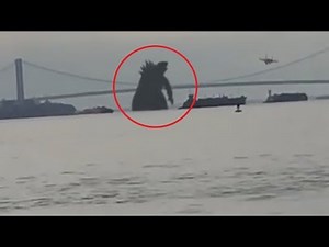 5 GODZILLA CAUGHT ON CAMERA