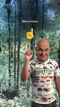 Curiosidades en InsectPark: hablemos de especies de insectos