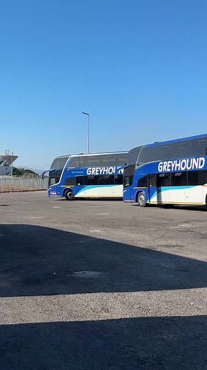 Luxury Travel Experience with Greyhound Premium Bus